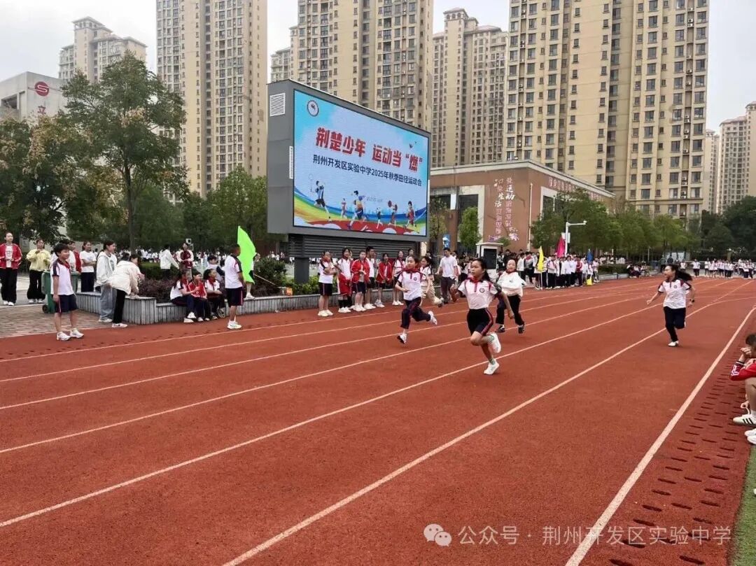  ˶ȼݿʵѧ2025＾ﾶ˶